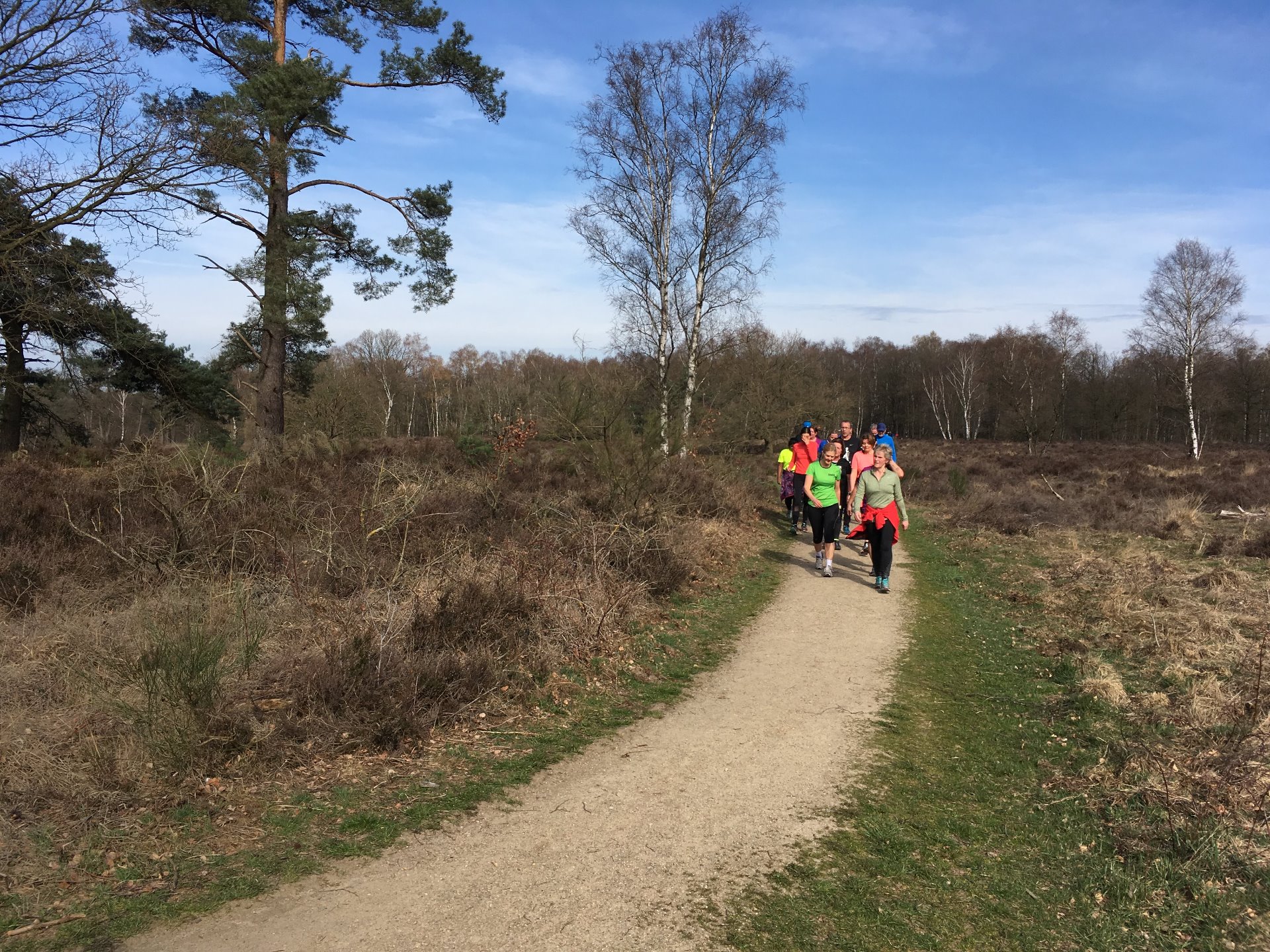Trainingen Swift Runners Swiftrunners